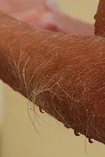 Adult JPG Gallery from Hairy-Arms.com 