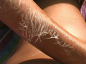 Sex Video Gallery from Hairy-Arms.com 